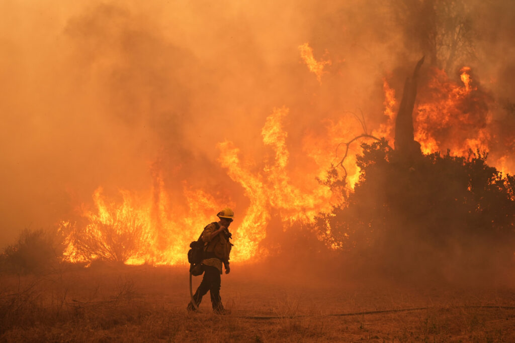 Climat et feux de forêt: L’année 2026 s’annonce «particulièrement grave» en termes d’incendies image principale