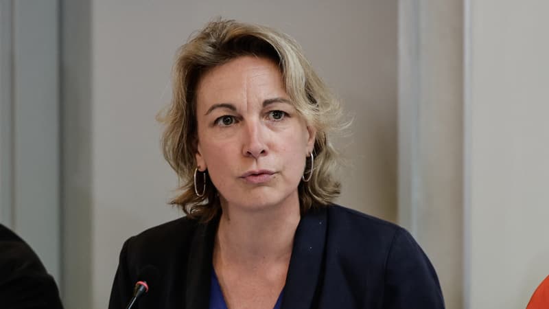 Au congrès de la CFDT, ce n'est pas la réélection de Marylise Léon ou les retraites qui vont faire débat... mais la hausse de la cotisation image principale