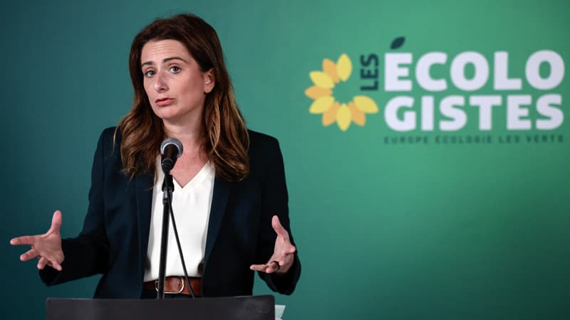 "Personne ne devrait risquer sa santé simplement pour aller au travail": face aux canicules qui se répètent, les Écologistes lancent une pétition pour réclamer un congé climatique de 5 jours par an image principale