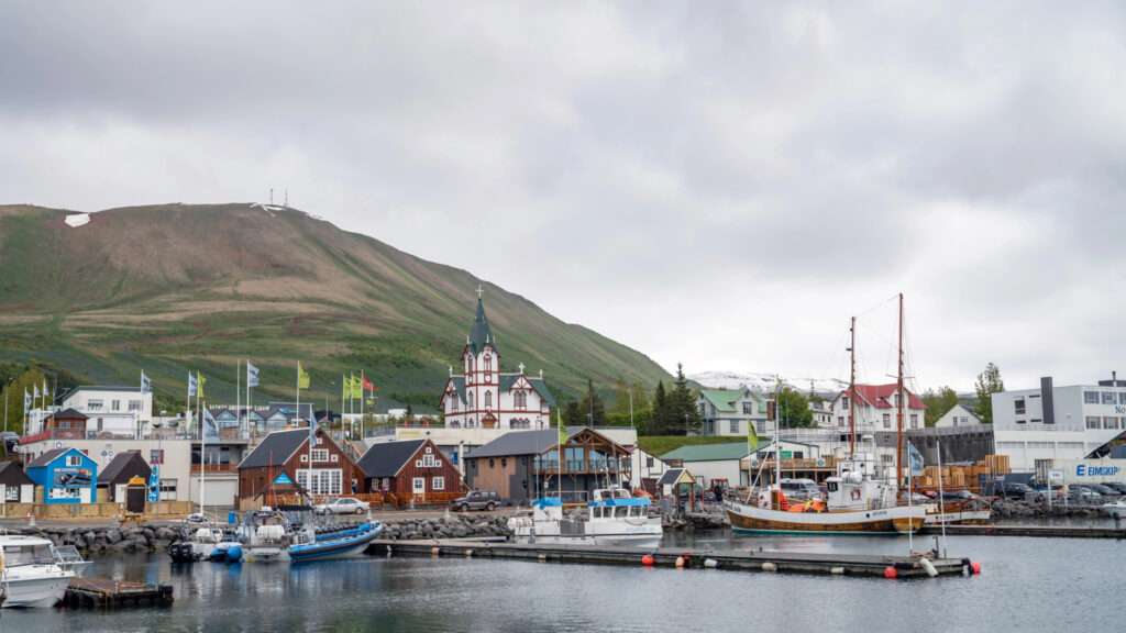 Géopolitique dans le Nord: Pays riche, l’Islande cherche refuge dans l’Union européenne image principale Géopolitique dans le Nord: Pays riche, l’Islande cherche refuge dans l’Union européenne image principale