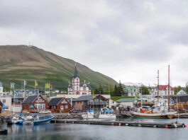 Géopolitique dans le Nord: Pays riche, l’Islande cherche refuge dans l’Union européenne Géopolitique dans le Nord: Pays riche, l’Islande cherche refuge dans l’Union européenne image principale